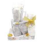 Netilas Yadayim set 2
